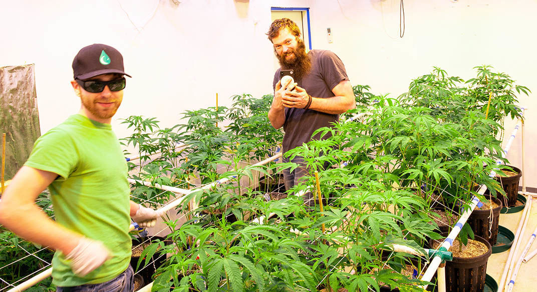 Permafrost Distributors